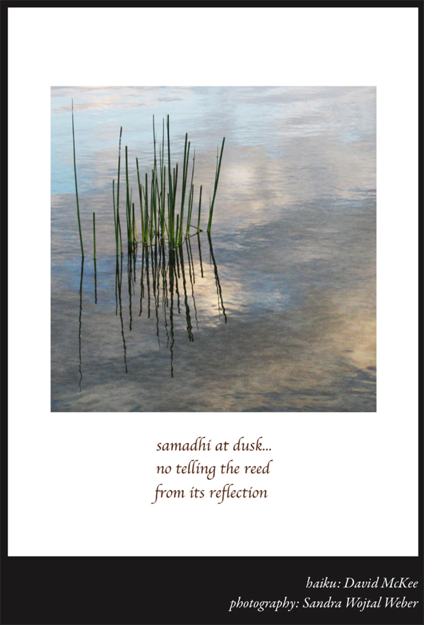 haiga by Sandi Pray