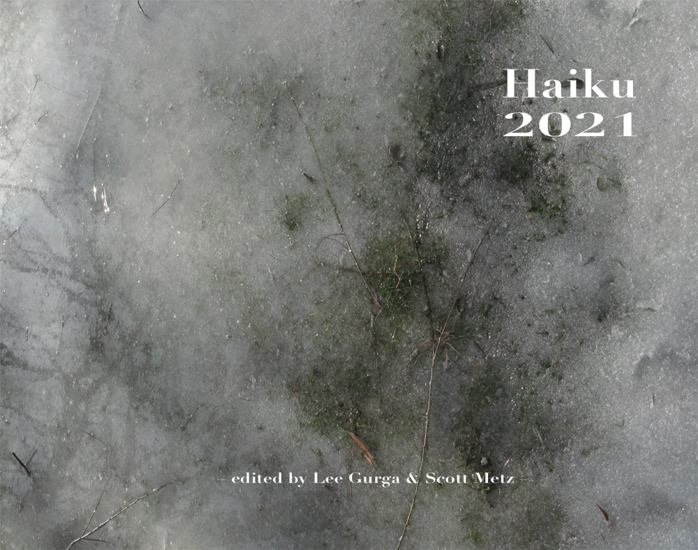 Haiku 2021 cover